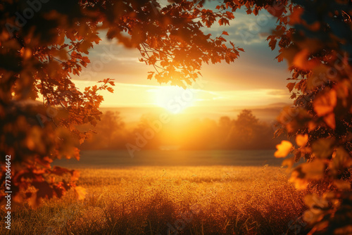 Golden Sunrise Over a Misty Autumn Meadow Framed by Seasonal Trees © KirKam
