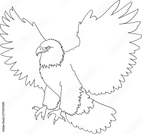 Eagle Outline