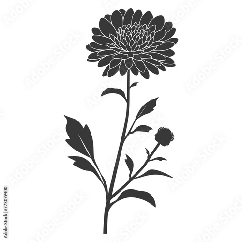 Silhouette aster flower black color only