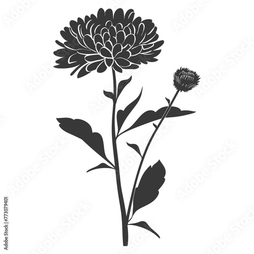 Silhouette aster flower black color only