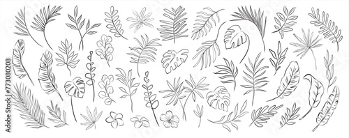 set of modern hand drawn tropical monstera eucalyptus banana exotic palm leaves branches and flowers silhouette on white background Botanical vector isolated trendy greenery illustratrations
