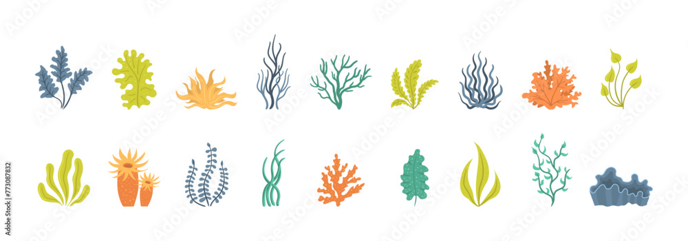 Collection of seaweeds, underwater sea plants, shells. Vector illustration of seaweeds, planting, marine algae and ocean corals silhouettes. Collection of cartoon algae