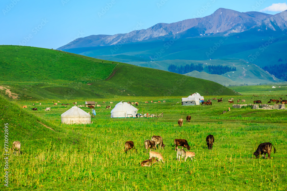 Green grassland and mountain natural landscape in Xinjiang