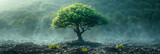 Green tree 3d image wallpaper,
Fairy tree in fog old magical tree with big branches and orange leaves mystical
