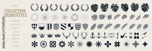Big set of various design elements, tropical leaves and plants branches, detail wreaths and sunbursts, vector shapes collection assets of isolated details, for colleges and prints photo