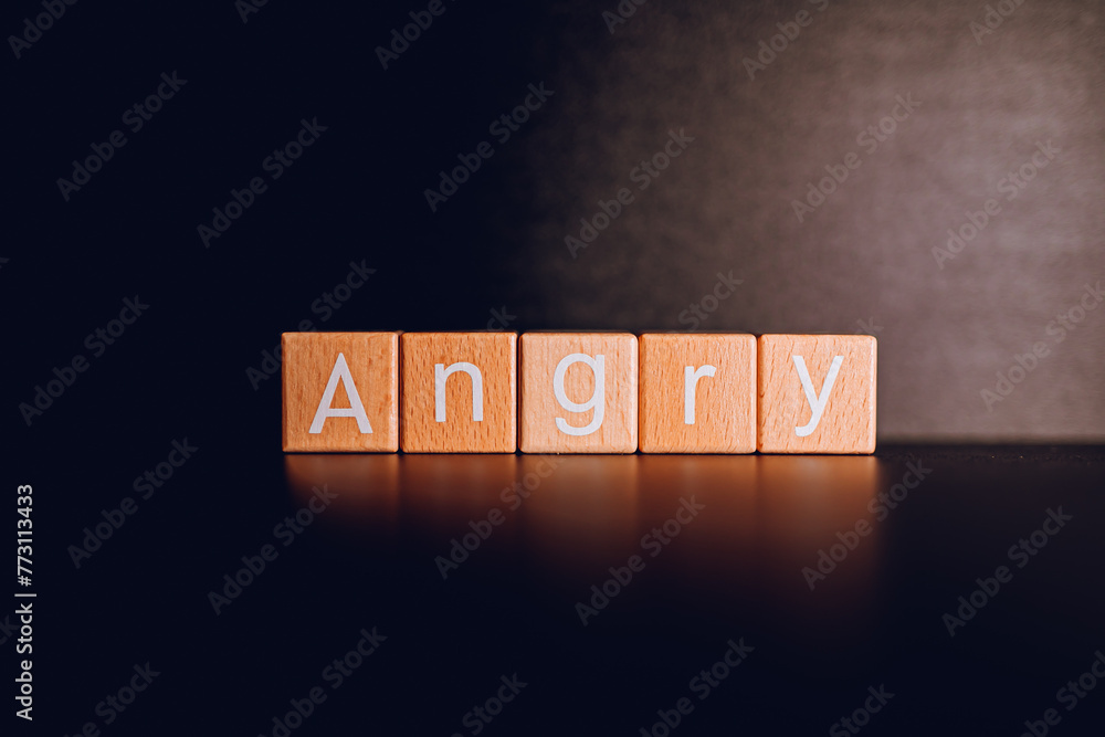 Obraz premium Wooden blocks form the text