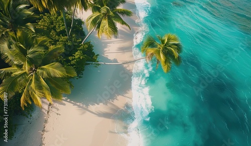 Aerial view of a palm beach on a tropical island. The concept of a tropical paradise. photo