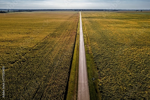 Aerial view of a winding country road cutting through a vast expanse of  green fields photo