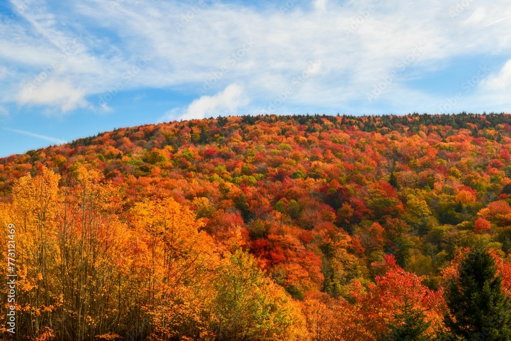 Beautiful areal view of a hill covered with vibrant autumn trees with a cloudy sky, West Virginia