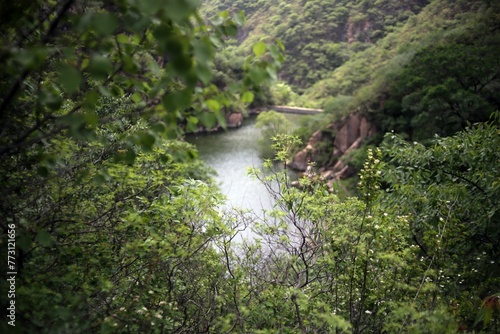 Scenic view of green shrubs against a river glowing through hills © Wirestock