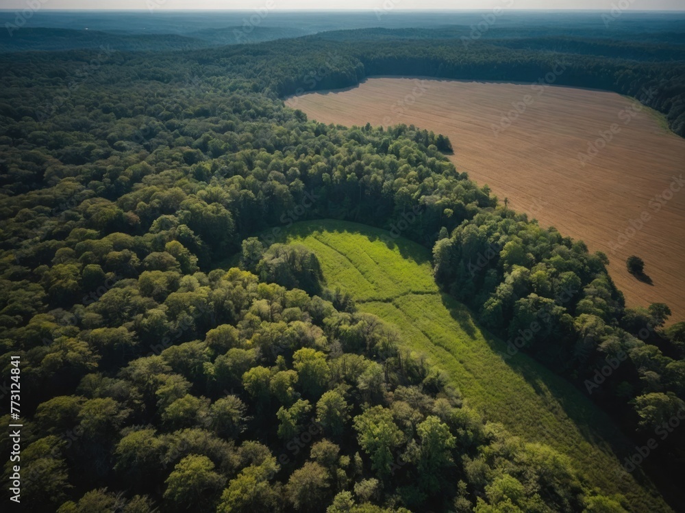 Aerial view of Earth's forests and fields