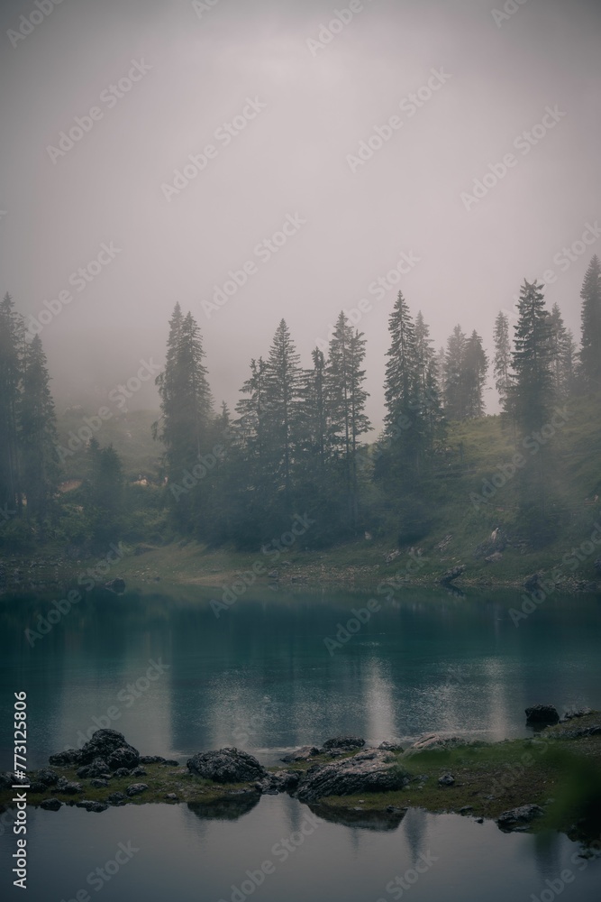 Scenic view of a mountainous landscape with trees shrouded in a misty fog Scenic view of a mountainous landscape with trees shrouded in a misty fog