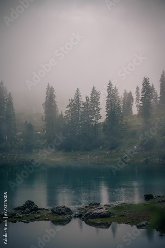 Scenic view of a mountainous landscape with trees shrouded in a misty fog