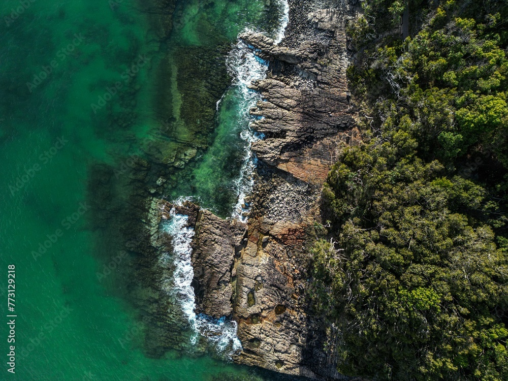 Aerial view of lush vegetation on the coastline with the sea crashing the shore