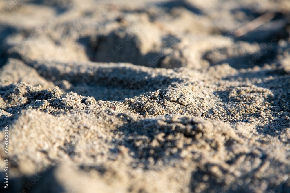 Closeup image of golden sand grains on a beach Closeup image of golden sand grains on a beach