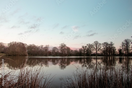 Tranquil lake reflecting the trees on the shore. © Wirestock