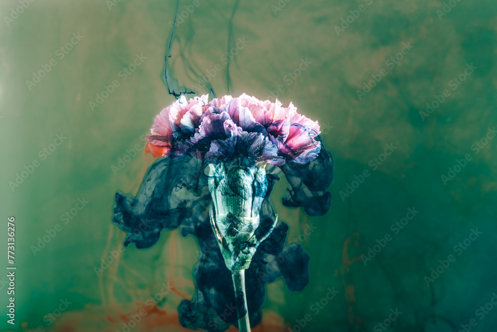Blume