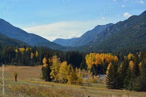 Scenic landscape of forested mountains