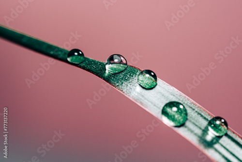 Wassertropfen