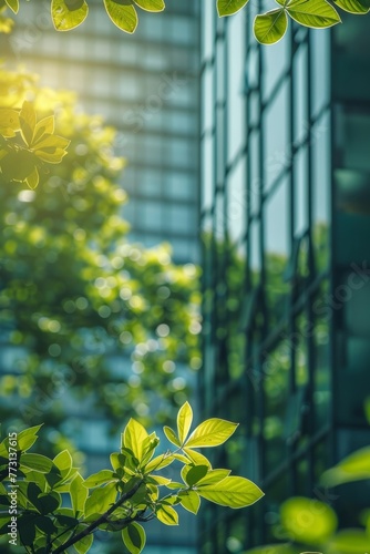 Eco-conscious glass structure in urban area promotes green living and energy efficiency, minimizing heat and CO2, offering a serene workspace amidst nature.