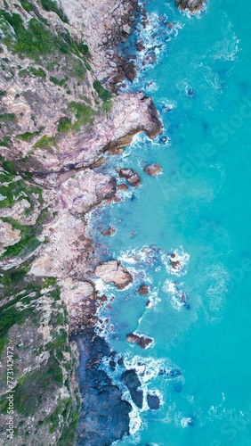 Aerial view of a blue ocean and lush green trees in summer