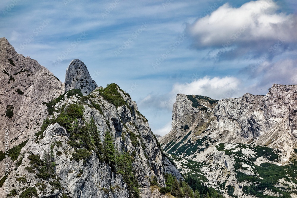 Scenic view of a valley flanked by mountains, with a foreground of trees Scenic view of a valley flanked by mountains, with a foreground of trees