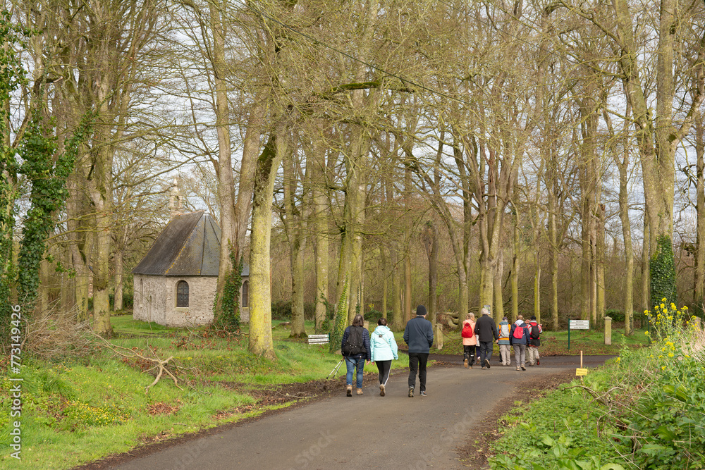 Fototapeta premium Groupe de randonneurs seniors dans la campagne bretonne - France
