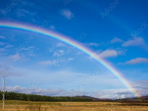 a rainbow over a pasture with tall grass and trees in the background