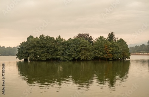 Fototapeta Naklejka Na Ścianę i Meble -  a small island with trees in it surrounded by the water
