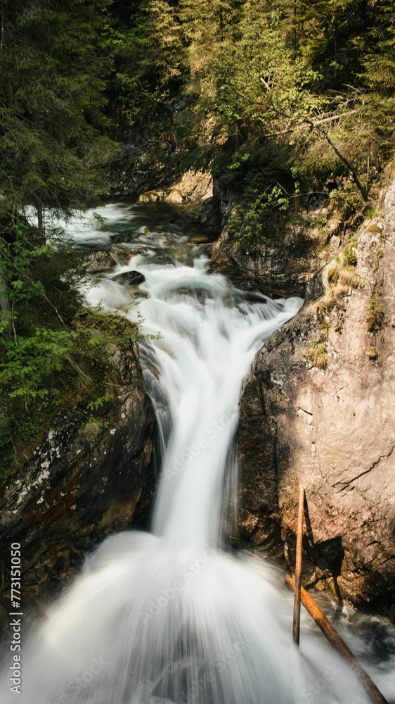 Crystal-clear Tatra mountain stream cascades over a series of rocky steps Crystal-clear Tatra mountain stream cascades over a series of rocky steps