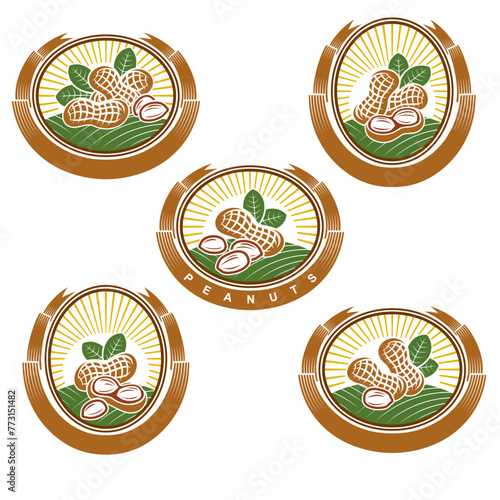 Peanuts label and icon set. Collection peanuts nuts icons. Vector