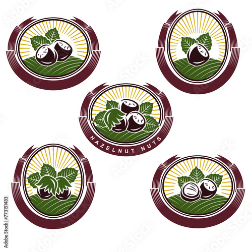 Hazelnut nuts label and icon set. Collection icons hazelnut nuts. Vector