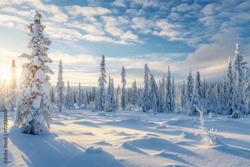 A panoramic view of a vast snowy landscape with trees covered in snow reaching to the horizon under cloudy skies