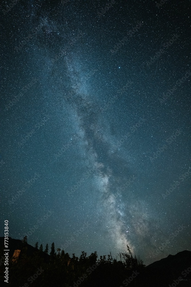 Serene view of a milky way galaxy illuminated in the night sky with silhouetted trees