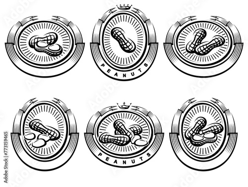 Peanuts label and icon set. Collection peanuts nuts icons. Vector