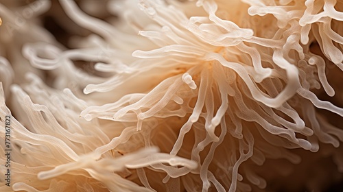 Microscopic view of fungi mycelium. Texture, Background ,Wallpaper design. Ai Generative