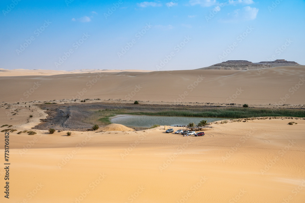 Desert sands and dunes, Siwa Oasis, Libyan Desert, Egypt Desert sands and dunes, Siwa Oasis, Libyan Desert, Egypt