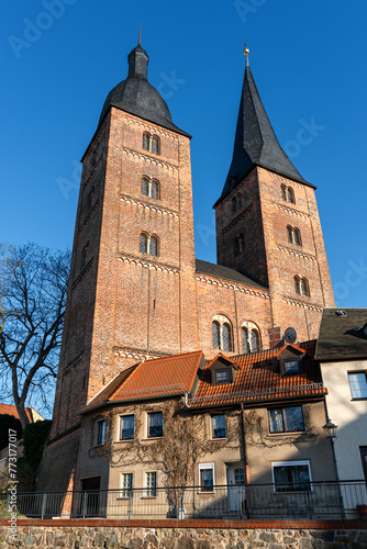 Portrait format photo of the red tips in Altenburg Thuringia. Photo taken in spring with sunshine and clear skies. Landmark for Altenburg.