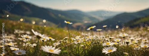 A pastoral scene straight from a storybook, where sun-kissed hillsides are embellished with blooming daisies, capturing the essence of spring and summer. photo