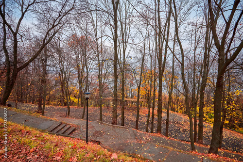 Autumn nature landscape. Autumn in the city park.