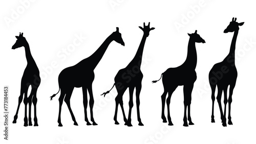 Giraffe silhouette vector illustration. Hand drawn giraffe silhouette