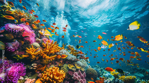 underwater coral and reef , full of colorful fish ,scuba diving ,vacation  © The Thee Studio