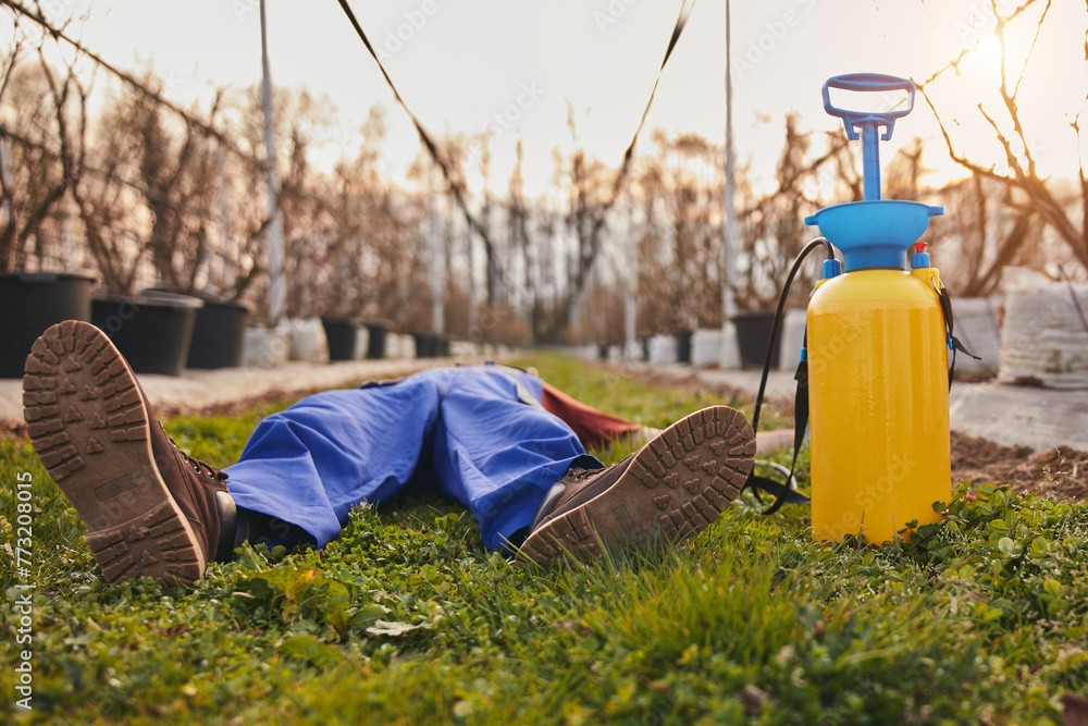 Poisoned farmer lying in a field after using poisonous chemicals with a sprinkler.