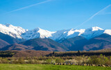 Beautiful landscape with a flock of sheep in the field and in the background Fagaras mountains with snow on the peaks