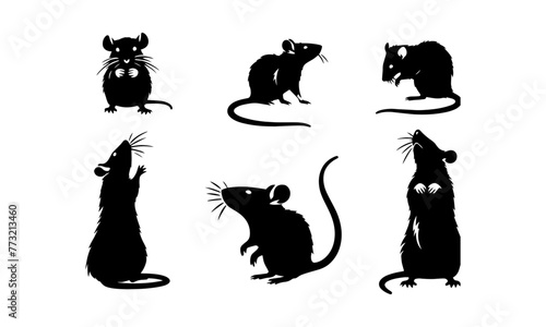 rat silhouetts set in black and white , rat silhouettes set ,rat silhouette design  photo