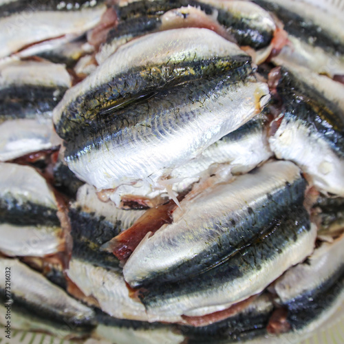 Raw sardine fillets 