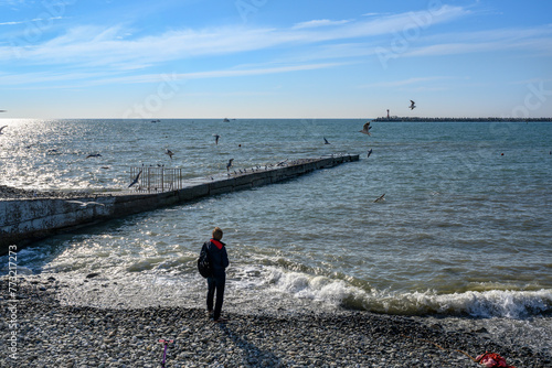 A man on the seashore admires the waves and seagulls