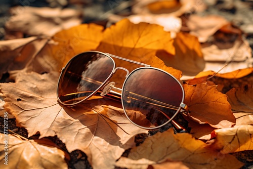 a pair of sunglasses on a pile of leaves