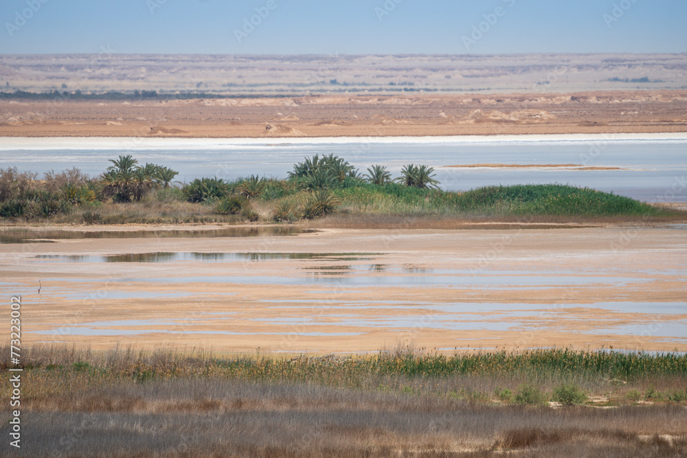 Gabal Dakrur, Siwa Oasis, Libyan Desert, Egypt Gabal Dakrur, Siwa Oasis, Libyan Desert, Egypt