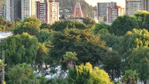 puente en Temuco photo